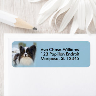 Cute Papillon Leksak Spanska Hund vid Dock Returadress Etikett