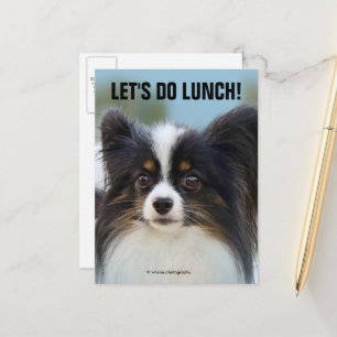 Cute Papillon Leksak Spanska Hund vid Dock Vykort