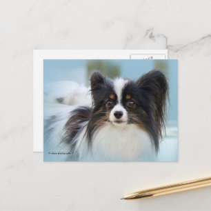 Cute Papillon Leksak Spanska Hund vid Dock Vykort
