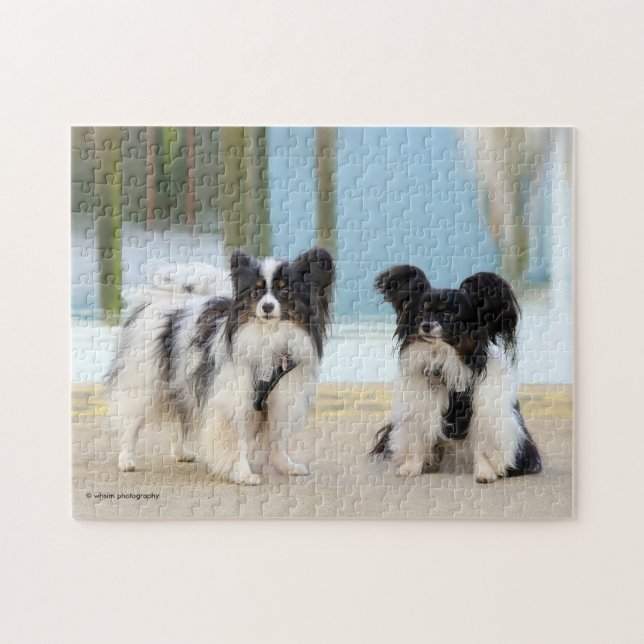 Cute Papillon Leksak Spanska Hundar vid Dock Pussel (Horisontell)