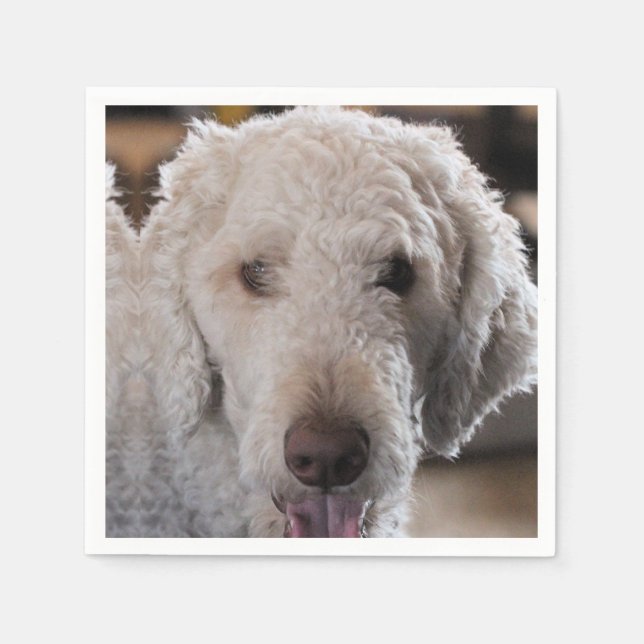 Cute Pappersservett (Framsidan)