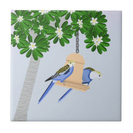 Cute par Playful Parrots Rosellas Kakelplatta