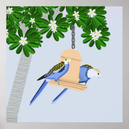 Cute par Playful Parrots Rosellas Poster