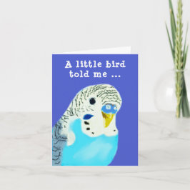 Cute parakeal-födelsedag kort