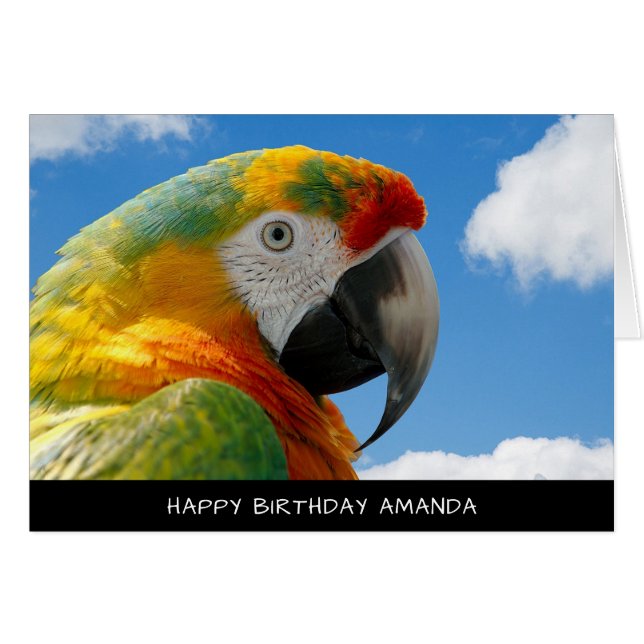 Cute Parrot Birthday Card Hälsningskort (Framsidan Horizontal)