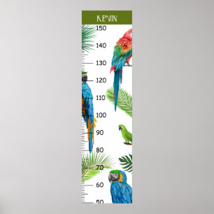 Cute Parrot Growth Diagram Poster