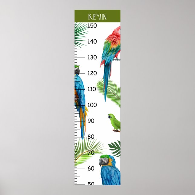 Cute Parrot Growth Diagram Poster (Framsidan)