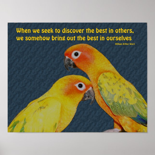 Cute Parrots Attitude inspirational Quote Poster (Framsidan)