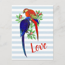 Cute Parrots in Kärlek Blue Red Colorful Vintage Vykort