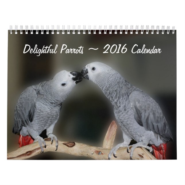 Cute Parrots Kalender (Omslag)