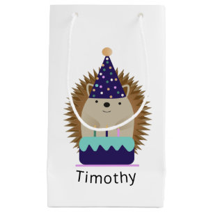 Cute Party Hedgehog