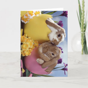 Cute Påskhare inuti ägg Helgkort