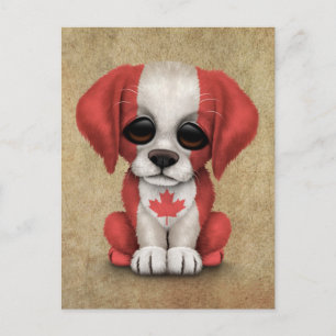 Cute Patriotic Canadian Flagga Puppy Hund, Rough Vykort