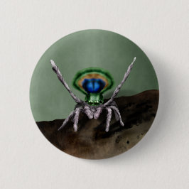 Cute Peacock Spider Digital Art Knapp