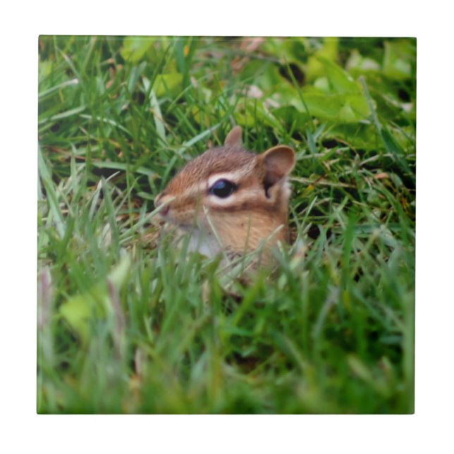 Cute Peeking Chipmunk Animal Kakelplatta (Framsidan)