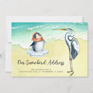 Cute Penguin Blue Heron Beach Snowbird Adress Meddelande