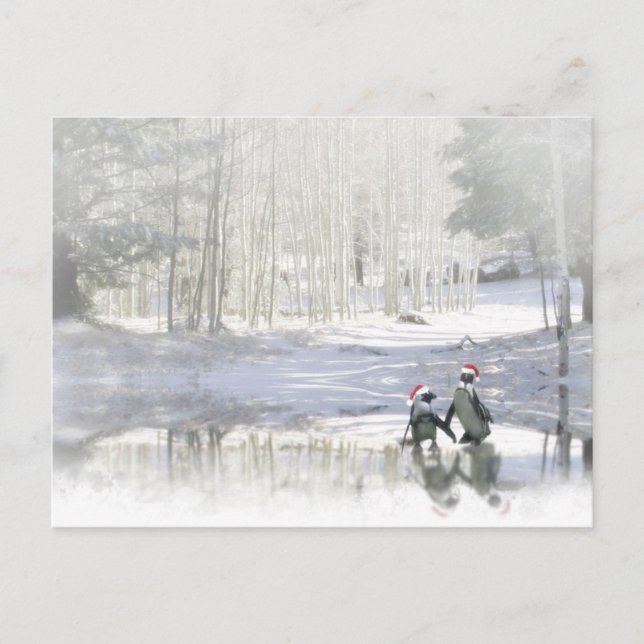 Cute Penguin-julkort Helg Vykort (Framsida)