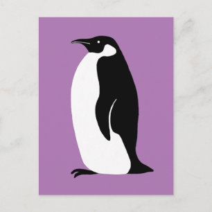 Cute Penguin Lila Black White Vykort