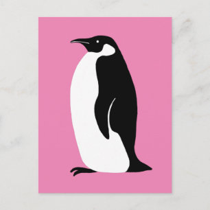 Cute Penguin Rosa Black White Vykort