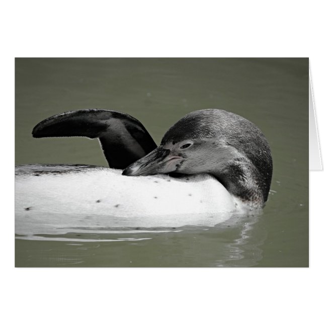 Cute Penguin Swimming Blank Card Hälsningskort (Framsidan Horizontal)