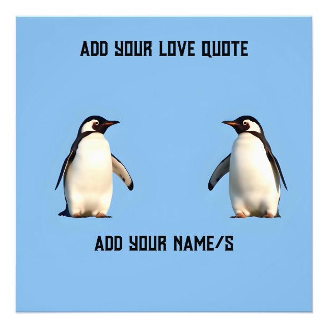 Cute Penguins Fototryck (Framsidan)