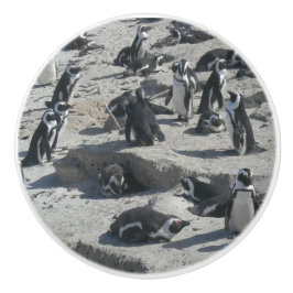 Cute Penguins on Beach Ceramic Drating Knopp