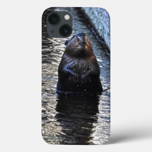 Cute Permanent Vild Beaver 2 Wildlife Photo (Baksida)