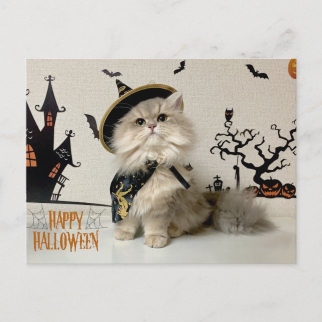 Cute Persian Cat in Halloween Costume Helg Vykort (Framsida)