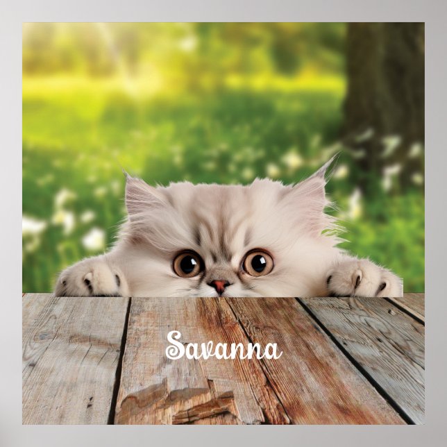 Cute Persian Peeking Cat Poster (Framsidan)