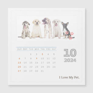 Cute Personlig Djurälskares 2024 Photo Calendar