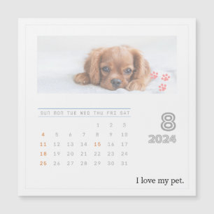 Cute Personlig Djurälskares 2024 Photo Calendar