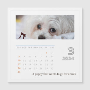 Cute Personlig Djurälskares 2024 Photo Calendar