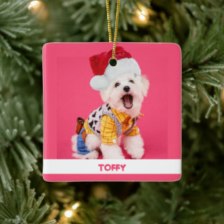 Cute Personlig-julklapp Julgransprydnad Keramik