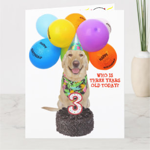 Cute Pet 3 års födelsedagskort Kort
