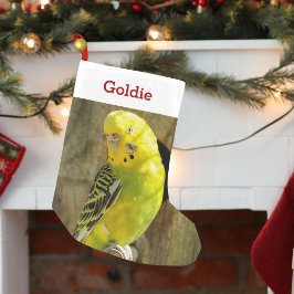 Cute Pet Bird Älskare Photo och Namn Personlig Liten Julstrumpa