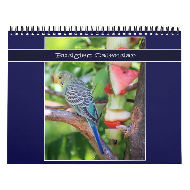 Cute Pet Budgie Parrot Photography 2026 Birds Kalender (Omslag)