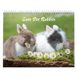 Cute Pet Bunny Rabbs Kalender