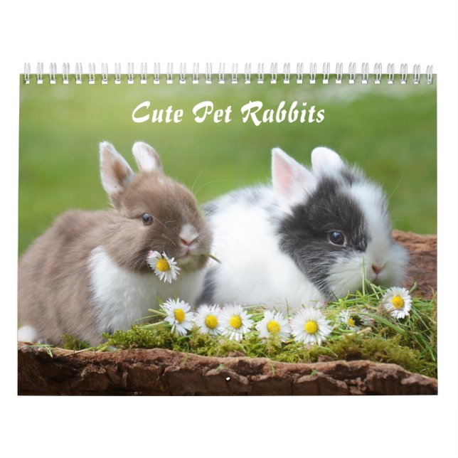 Cute Pet Bunny Rabbs Kalender (Omslag)