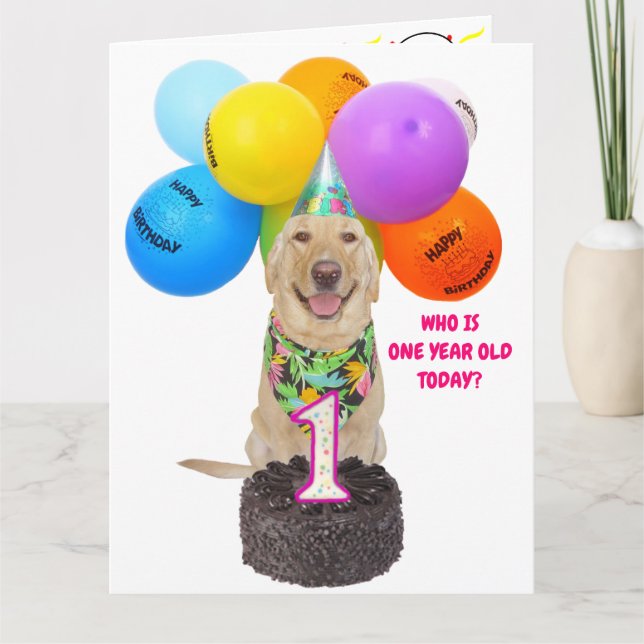 Cute Pet ett års födelsedagskort Kort (Framsida)