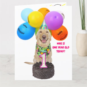 Cute Pet ett års födelsedagskort Kort