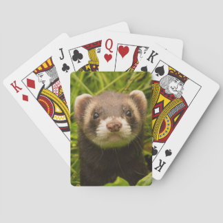 Cute Pet Ferret i Grass Casinokort