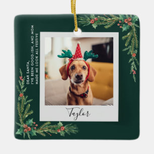 Cute Pet-fotoskript Rolig hund jul Julgransprydnad Keramik