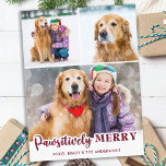 Cute Pet Hund Photo Collage Pawsitively Merry Helg Vykort<br><div class="desc">Vi presenterar vår nya helgdagskort, perfekt för familjer med hårigets vänner! Vår "Pawsitively Merry"-samling har en mängd roligt och festliga utformningar som visar dina älskade husdjur på ett sött och lekfullt sätt. Oavsett om du har en hund eller en katt kan du välja mellan ett urval av moderna, roliga, reflekterande,...</div>
