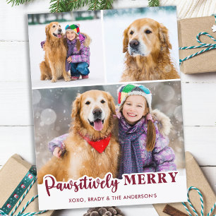 Cute Pet Hund Photo Collage Pawsitively Merry Helg Vykort