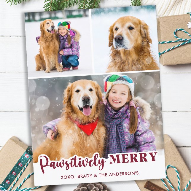 Cute Pet Hund Photo Collage Pawsitively Merry Helg Vykort (Skapare uppladdad)