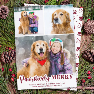 Cute Pet Hund Photo Collage Pawsitively Merry Julkort