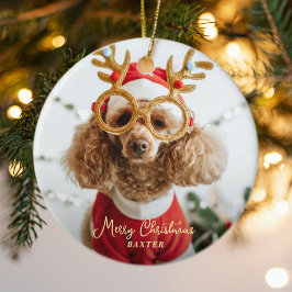 Cute Pet-julfoto Naughty Hund Funny Puppy Julgransprydnad Keramik