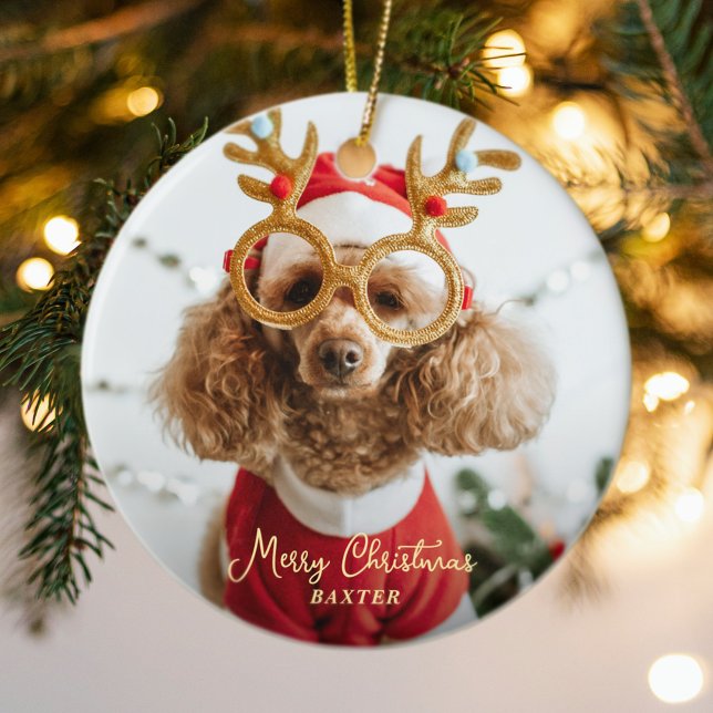 Cute Pet-julfoto Naughty Hund Funny Puppy Julgransprydnad Keramik (Cute Pet Christmas Photo Naughty Dog Funny Puppy Ceramic Ornament)