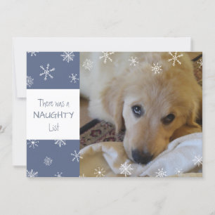 Cute Pet Naughty eller Nice Snowflake Blue Julkort