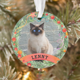 Cute Pet Photo Cat Berry God Jul